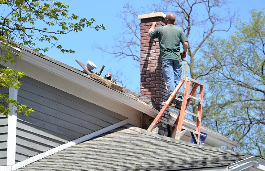 Chimney & Fireplace Inspections Services in Langley Park, MD